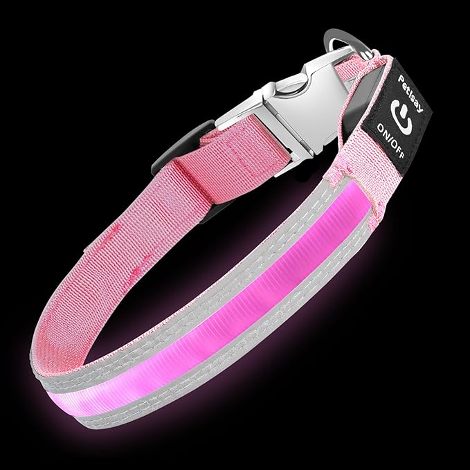 PetIsay LED Dog Collar Metal Buckle - Heavy Duty Light up Collars - Rechargeable IP68 Waterproof - Lighted Dog Collar for Night Walking, Hiking, Camping (Medium, Pink)