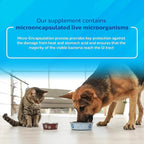 Probiotics for Dogs and Cats - Vet Formulated Pet Prebiotic & Enzyme Powder for Digestive, Gut & Immune Health - 1600 Servings (400 g)