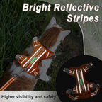 Cat Harness and Leash Set for Walking Escape Proof for Small Large cat Kitten Harness with ID tag Pocket (Orange,XS)