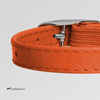 CollarDirect Leather Cat Collar, Cat Safety Collar with Elastic Strap, Kitten Collar for Cat with Bell Black Blue Red Orange Lime Green (Neck Fit 6"-7", Orange)