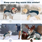 Doglay Dog Jacket Waterproof Dog Coat, Reflective Cold Weather Winter Coat, Adjustable Turtleneck Fleece Puppy Snow Jacket with Harness Hole for Small Medium Large Dogs