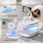 Veken Cat Water Fountain with Detachable Tank, Easy to Clean & Assemble, 84oz/2.5L Automatic Pet Drinking Dispenser with Quiet Operation & LED Light for Cats, Dogs and Small Pets, White