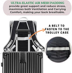 Lollimeow Cat Backpack Carrier, Ideal for Small Animals & Puppies, Outdoor Adventures, Vet Transport. Fully Ventilated Design for Ultimate Comfort On-The-Go