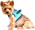 Doggie Design No Choke Dog Harness - Simple Step-in and Go Dog Vest for Small, Medium, and Large Breeds - Breathable Mesh Polyester Pet Harness - Northern Lights - L