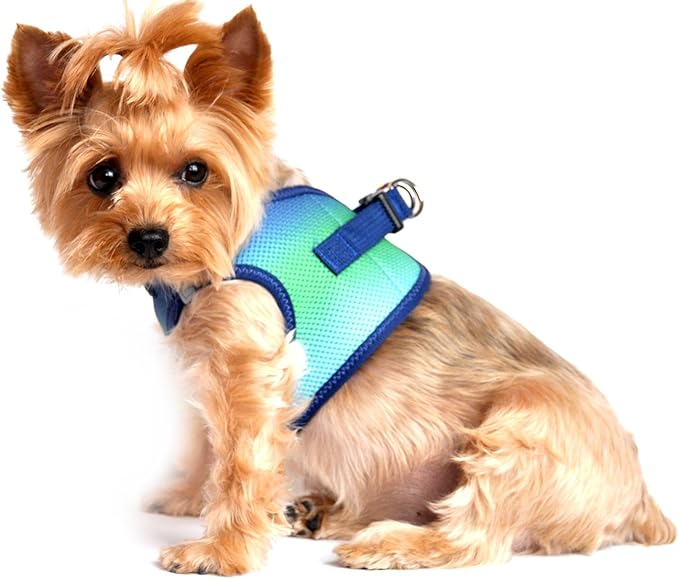 Doggie Design No Choke Dog Harness - Simple Step-in and Go Dog Vest for Small, Medium, and Large Breeds - Breathable Mesh Polyester Pet Harness - Northern Lights - L