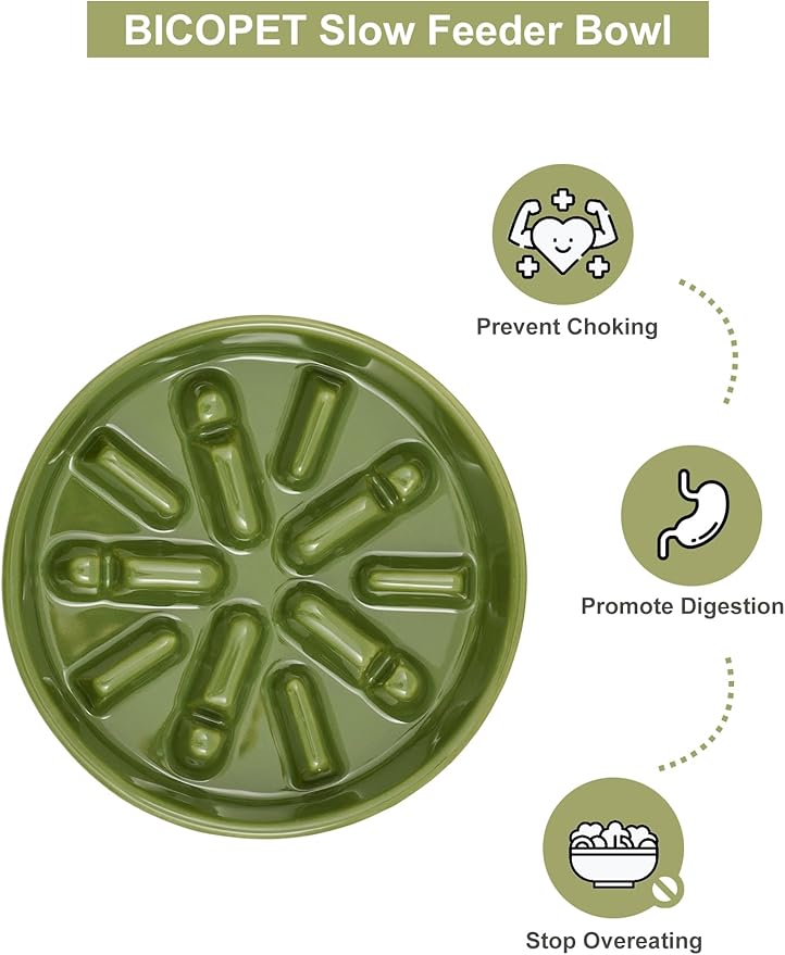 Ceramic Maze Dog Slow Feeder with Non-Slip Silicone Rim (& Bamboo Stand) – Heavy-Duty Stoneware Bowl with Puzzle Pattern for Bloating & Obesity Prevention (Raised-Green-S)