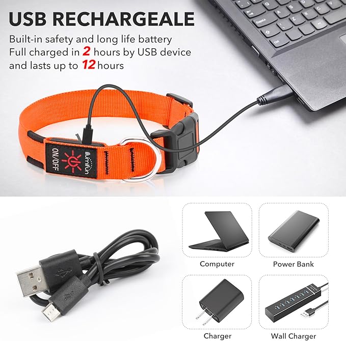 Illumifun Light Up Dog Collar, USB Rechargeable LED Dog Collar, Adjustable Lighted Safety Collar for Nighttime Walking Camping (Orange, Medium)