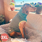 KYEESE 2Pack Dog Sweater Pullover Clothes Soft Pet Sweatshirt Stretchy Pet Sweaters Large Size Pets Turtleneck Pets Coats Warm Dogs Clothes Dog Sweaters for Large Dogs