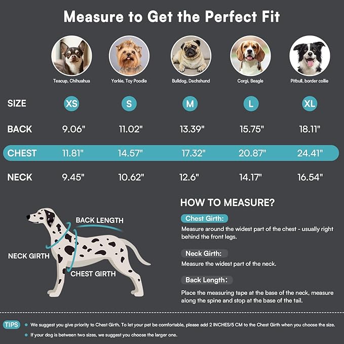 Queenmore Medium Dog Sweater,Dog Sweater for Medium Dogs Boys Girls,Christmas Sweaters for Dogs,DogSweater Knitwear Outfit,Thick Warm Pet Clothes for French Bulldog,Boston Terrier(Lake Blue,M)