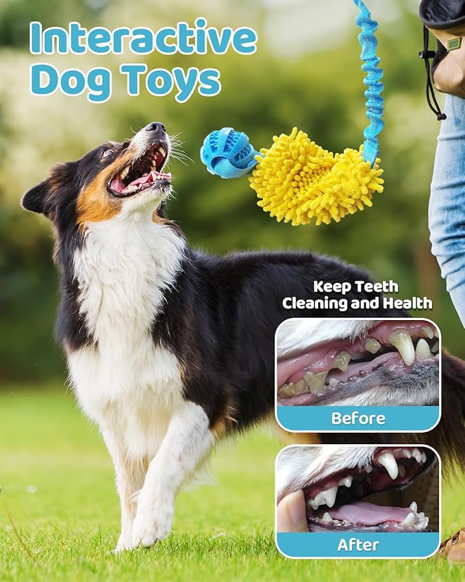 Dog Tug of War Toy, Interactive Chew Toy for Fun and Teeth Cleaning, Soft Nubby-Textured Noodle Plush with Rubber Ball, Dog Rope Toys for Training Small, Medium Large Dogs