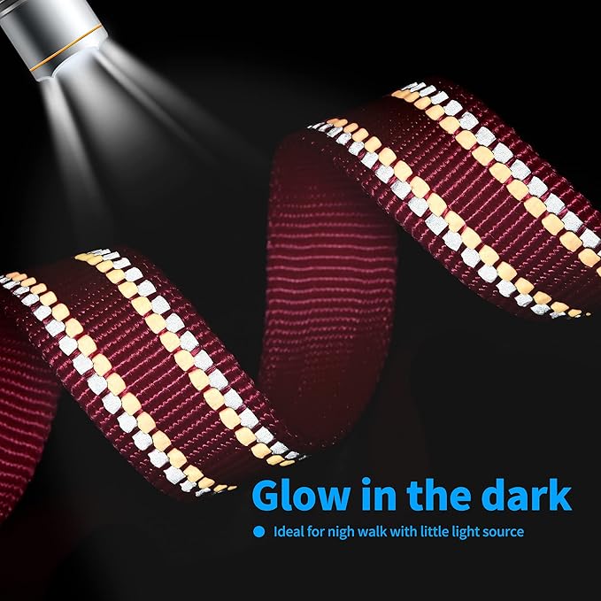 Mile High Life Nylon Night Light Glow Collar, Reflective Light Up Dog Collar, Fluorescent Self-Luminescent Strap for Small Medium Large Dogs (Pink, XS Neck9-13")