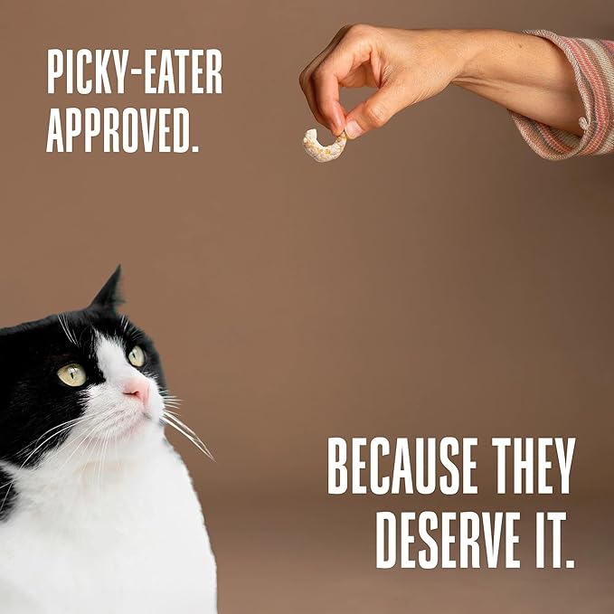 Whole Life Cat Just One Shrimp Freeze Dried Cat Treats - Human Grade High Protein Food, Healthy Training Snacks, Freeze Dried Shrimp Food Toppers, USA Made Natural Treats - .7 oz (Pack of 1)