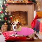 Winter Coat for Small and Medium Dogs, Puppy Plaid Jacket, Cotton Coat for Cold Weather, Windproof Warm Dog Garments, Pet Thickened Outfits Indoor Outdoor, Pink XS