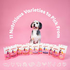 Pupford Freeze Dried Training Treats for Dogs & Puppies, 475+ Two Ingredient Bites (Chicken, 4 oz)