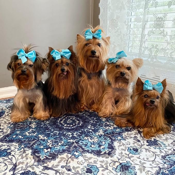 PUPIBOO Washable Pee Pads for Dogs and Cats - Super Absorbent Reusable Puppy Training Pads - 100% Waterproof, Leak-Proof & Non-Slip Whelping Pads for Pet Housebreaking