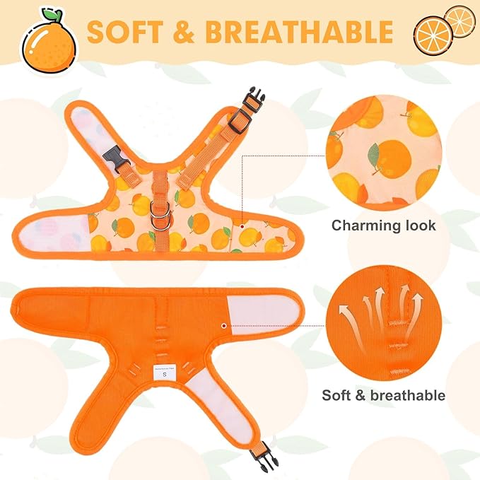 BINGPET Cat Harness with Leash Escape Proof - Fashionable Mesh Cat Dog Walking Harness Leads, Adjustable for Kitties Puppies Small Animals,Orange,M