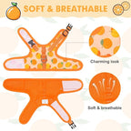 BINGPET Cat Harness with Leash Escape Proof - Fashionable Mesh Cat Dog Walking Harness Leads, Adjustable for Kitties Puppies Small Animals,Orange,S