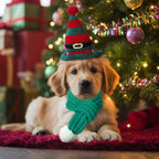 2 Pcs Cat Christmas Costume Cat Santa Hats with Scarf Pet Hat Scarf Set Pet Christmas Outfit Party Costume Supplies for Cats Small Dogs Puppy Accessories(Green,Belt Style)
