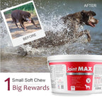 TS Joint Supplement Vet Formulated Pain & Inflammation Relief Treats Hip Dysplasia & Arthritis.Glucosamine, Chondroitin, Turmeric, MSM, HA, Creatine, Omega 3 EPA+DHA. All Dogs 240 Soft Chews
