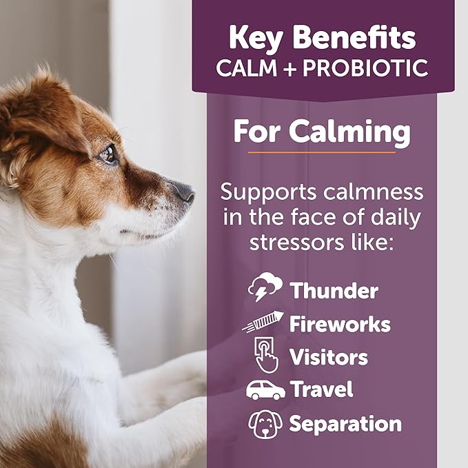 ThunderBites Calm + Probiotics for Dogs Daily Supplement Soft Chews, Supporting Dog Digestive & Gut Health with Probiotics, Prebiotics & Postbiotics + Calming Support for Daily Stressors, 90 Count