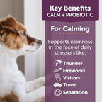 ThunderBites Calm + Probiotics for Dogs Daily Supplement Soft Chews, Supporting Dog Digestive & Gut Health with Probiotics, Prebiotics & Postbiotics + Calming Support for Daily Stressors, 90 Count