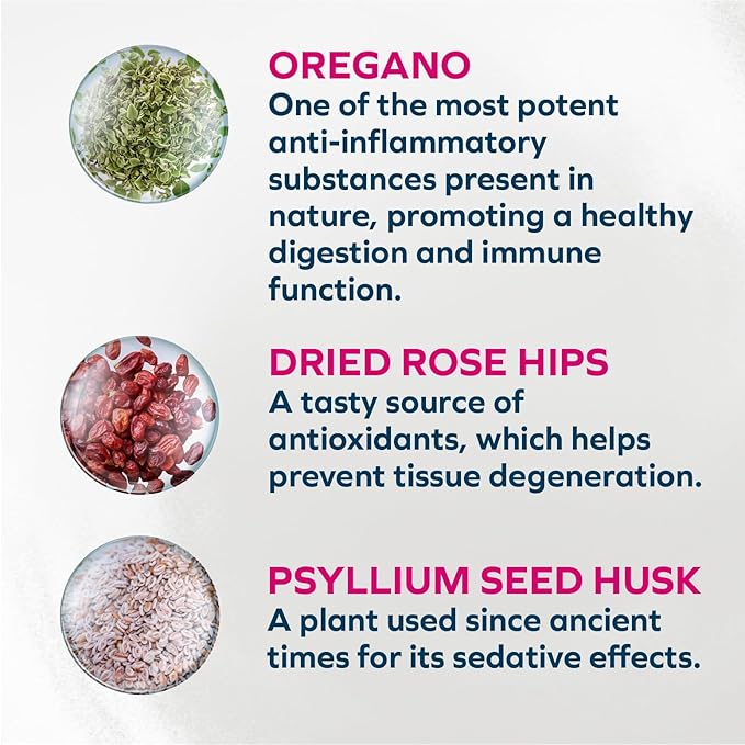 Forza10 - Cat Food, Vet-Approved Digestive Wet Cat Food, Salmon Flavor, Sensitive Stomach Support for Adult Cats with Gastrointestinal & Digestive Issues, Made in Italy (3.5 oz, 32 Pack)