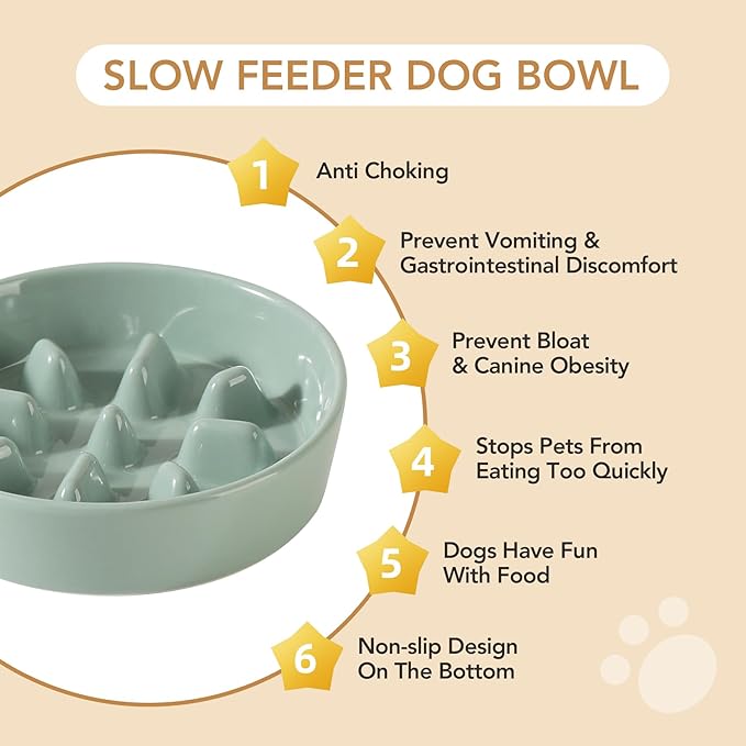 Ceramic Raised Slow Feeder Dog Bowl Set, Elevated 5.1inch Bowl and 6.1inch Slow Pet Food Dish with Wooden Stand for Small Dog and Cat (2 x Light Green+ Stand)