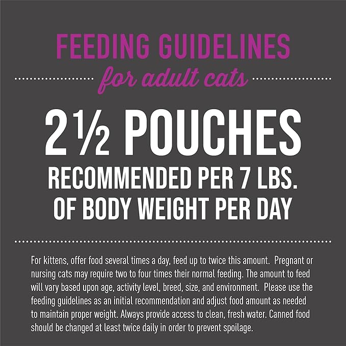 Tiki Cat Aloha Friends, Chicken, Pumpkin & Duck, Grain-Free & High Moisture, Wet Cat Food for All Life Stages 2.5 oz. Pouch (12 Count)