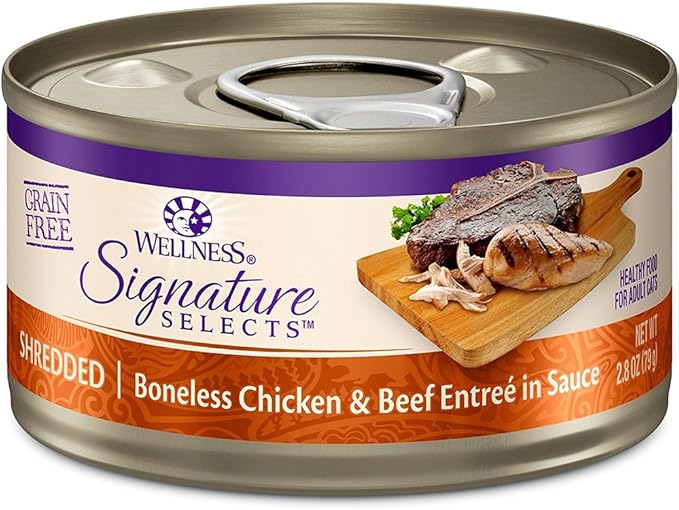 Hotspot Wellness Grain Free Wet Cat Food Variety Bundle - 4 Flavors Pack (12 Cans) With Bowl: Chicken, Liver, Salmon & Turkey (2.82oz)