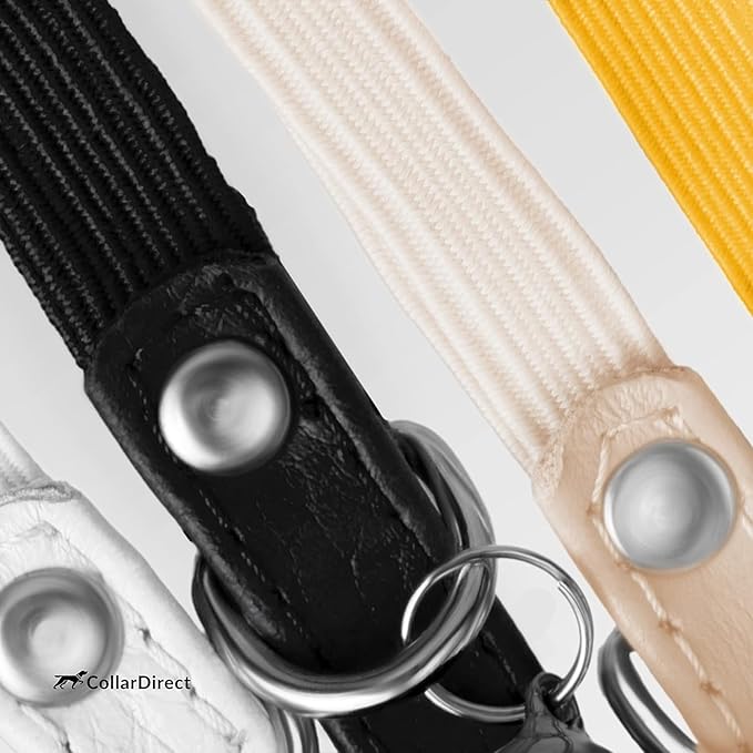 CollarDirect Leather Cat Collar, Kitten Collar with Removable Bell Black Blue Red Orange Lime Green (8-11 Inch, Black)