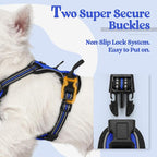 rabbitgoo Dog Harness No Pull with 2 Leash Clips, Adjustable Soft Padded, Reflective Oxford No Choke Pet Vest with Easy Control Handle for Puppy, Dazzling Blue,XS