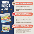 Bernie’s OMG! Omegas Chews for Dogs - 5X Extra Strength DHA+EPA, Fish Oil, Healthy Skin & Coat, Allergy Relief, Joint Supplement (Salmon Flavor)