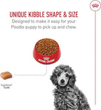 Royal Canin Breed Health Nutrition Poodle Puppy Dry Dog Food, 2.5 lb Bag