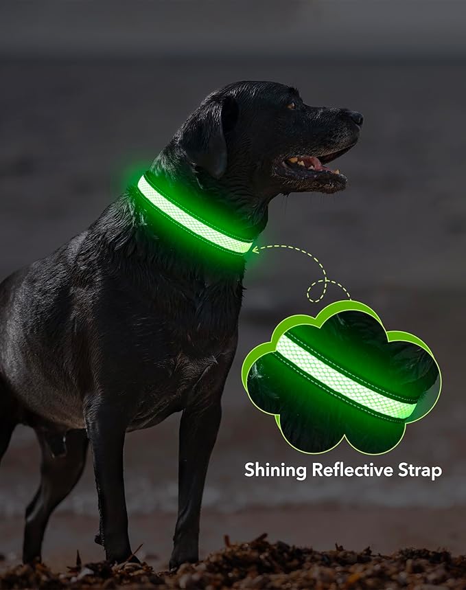 Weesiber Light Up Dog Collar - Reflective LED Dog Collar Rechargeable Glow in The Dark Pet Collar, Safety Doggie Lights for Night Walking(Green, S)