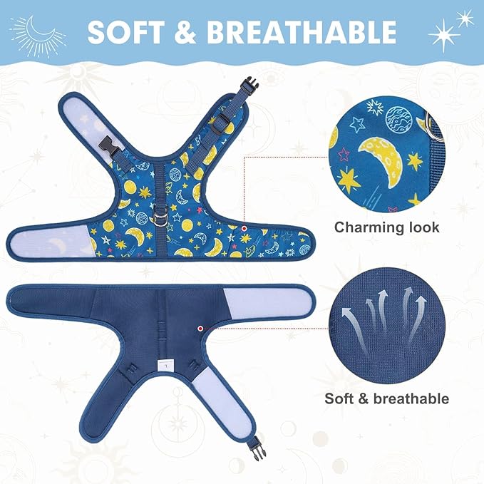 BINGPET Cat Harness with Leash Escape Proof - Fashionable Mesh Cat Dog Walking Harness Leads, Adjustable for Kitties Puppies Small Animals,Galaxy,XL