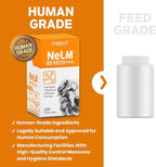 NeLM Supplements & Vitamins for Dogs - Mouth Dissolving Strips - Multivitamin, Eye, Hip & Joints, Gut, Dental Support - Pet Health Supplies - 30 Stips(Pack of 1) (30 Strips (Pack of 1), Multivitamin)