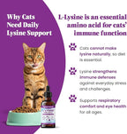 Special Breed L-Lysine for Cats & Kittens – Immune, Respiratory & Eye Health Support – Liquid Cat Supplement with Astragalus, Burdock, Atractylodes, Dangshen & Vitamins A, B1, B2, B6 – 2oz (60mL)