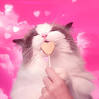 Bonkers Purrpops Freeze Dried Chicken & Catnip Flavor Lollipop Cat Treats, Healthy Single Ingredient Treats, Training Treats or Food Topper, for All Breeds and Ages, Value Pack (32 Pieces)