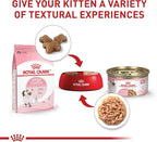 Royal Canin Feline Health Nutrition Kitten Thin Slices in Gravy Cat Food, 3 oz (Pack of 18)
