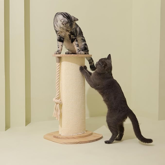 Cat Scratching Post, 23 Inches/58cm Large Cat Scratch Post for Adult Cats and Kittens, Nature Sisal,Wooden Base, Modern Cat Scratcher for Indoor Cats, Protect Your Furniture, Beige