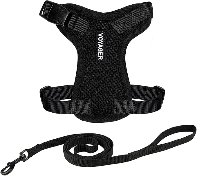 Voyager Escape-Proof Step-in Lock Cat Harness & 5ft Neoprene-Handle Leash Set All-Weather Mesh with Reflective Stitching for Small to Large Cats by Best Pet Supplies, Black, XS