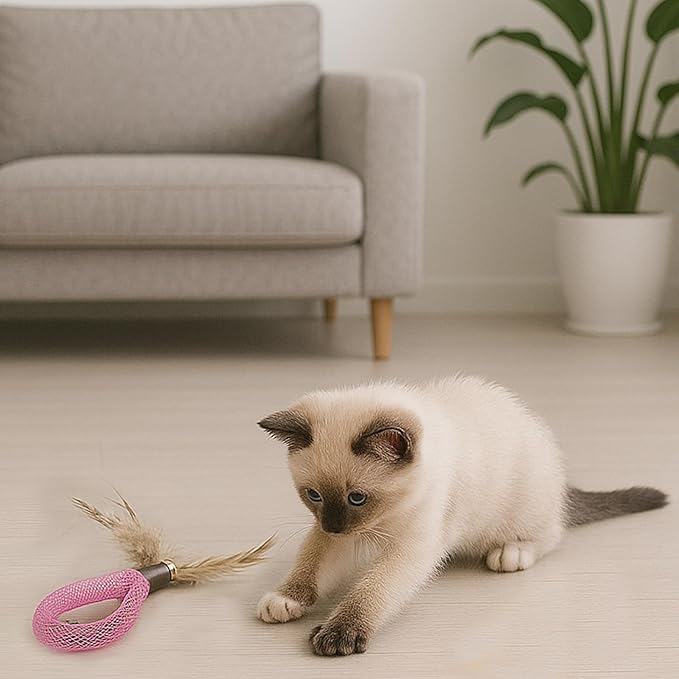 20PCS Interactive Cat Toys for Indoor Cats, Feather Elastic Mesh Cat Toy, Catnip Ball, Colorful Cat Spring, Kitty Rainbow Plush, Teething & Self-Play Kitten Accessories Variety Pack