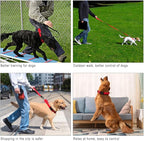 PLUTUS PET Reflective Martingale Collar with Quick Snap Buckle,No Pull Dog Choker Collar for Small Medium Large Dogs,S,Red