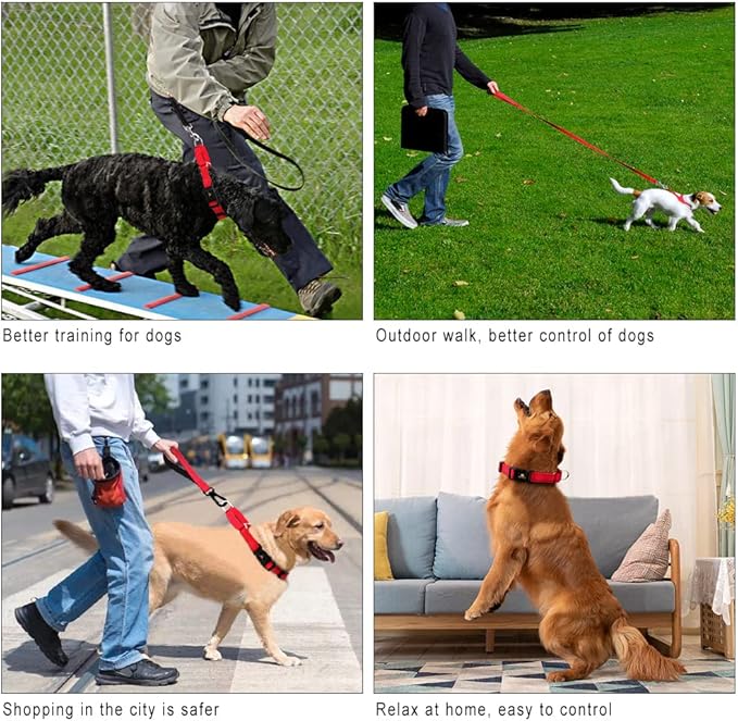 PLUTUS PET Reflective Martingale Collar with Quick Snap Buckle,No Pull Dog Choker Collar for Small Medium Large Dogs,S,Red