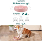 vancasso Slow Feeder Dog Bowl, 1.5 Cups Ceramic Slow Feeder for Medium Breed, Puzzle Maze Food Dog Bowl for Fast Eater, Pink