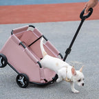 Dog Stroller 4 Wheels Folding Dog Cart Pet Stroller for Travelling Shopping Walking Playing for Small Dogs Cats (Black)