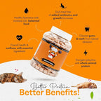 Freeze-Dried Salmon Treats for Cats & Dogs – 100% Wild Caught, Single Ingredient, High-Protein, Healthy Snack – No Additives or Preservatives – 2.6oz - Inspected & Tested in USA