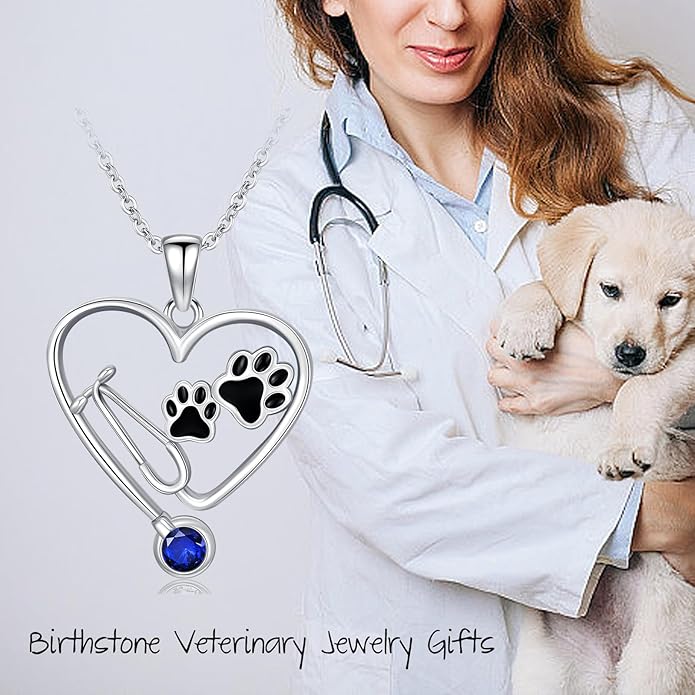 Birthstone Veterinary Stethoscope Necklace 925 Sterling Silver Nurse Vet Pendant with Dog Paw Nurse Jewelry Gifts for Veterinarian Nurse Women Veterinarian Gifts