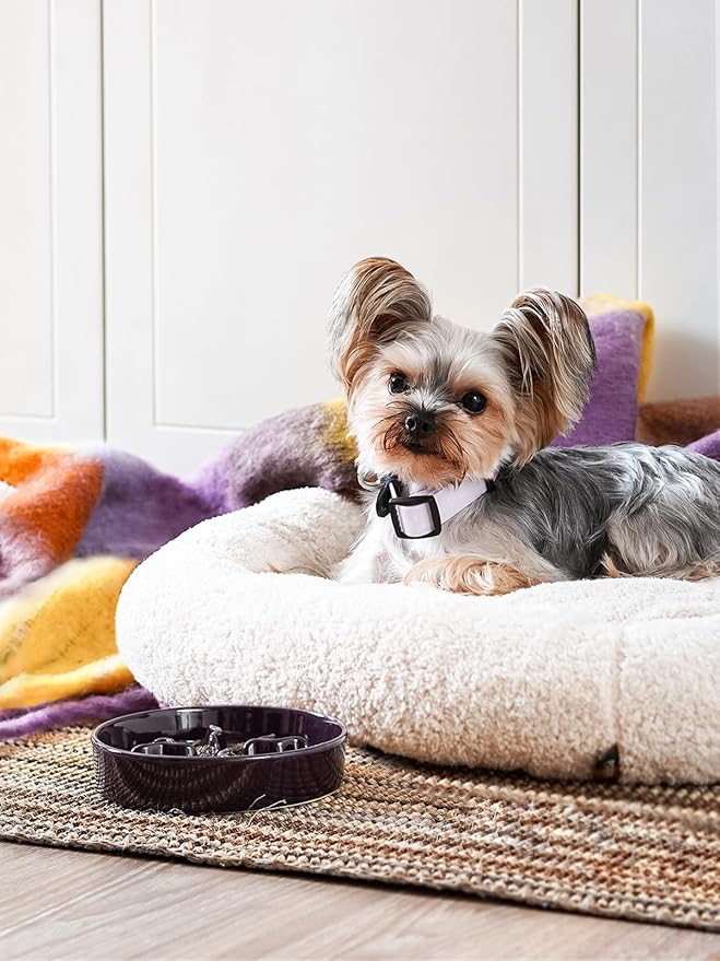 Ceramic Slow Feeder Dog Bowls Small Breed, 0.5 Cups Dog Food Dish for Fast Eaters, Puzzle Bowl for Small Dogs and Cats, 5.5 Inch-Purple