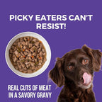 KOHA Memphis BBQ Stew for Dogs with Chicken and Pork, High Protein Wet Dog Food, 12.7oz Cans (Case of 12)